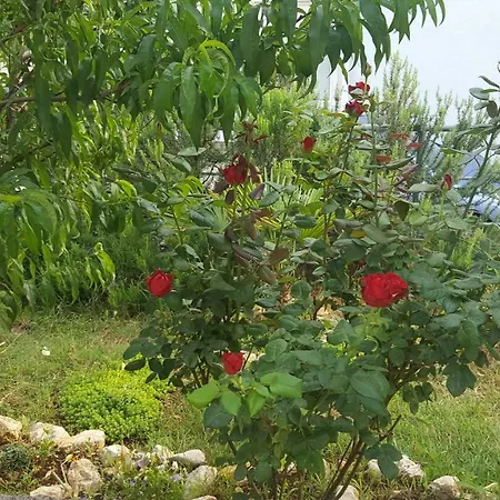 Ana Apartament Kostrena